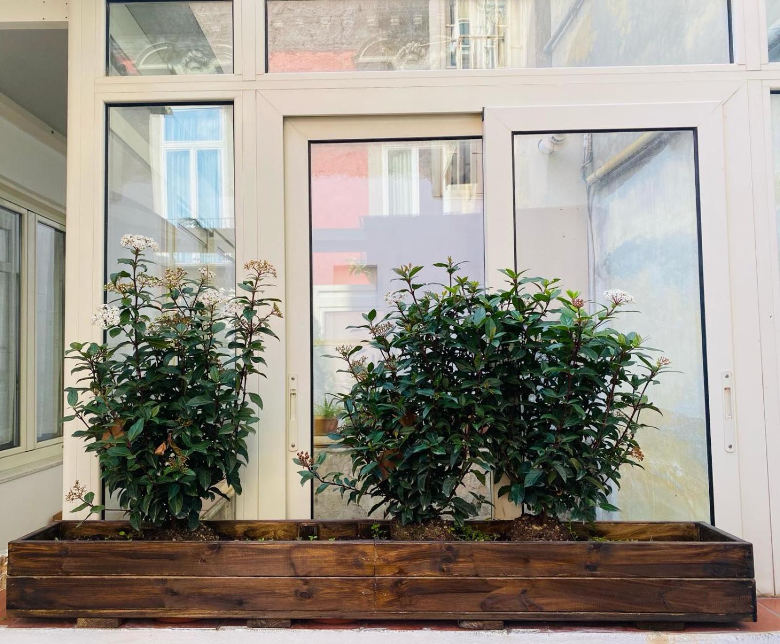 Apartmán La Casa Di Apollo Neapol Exteriér fotografie